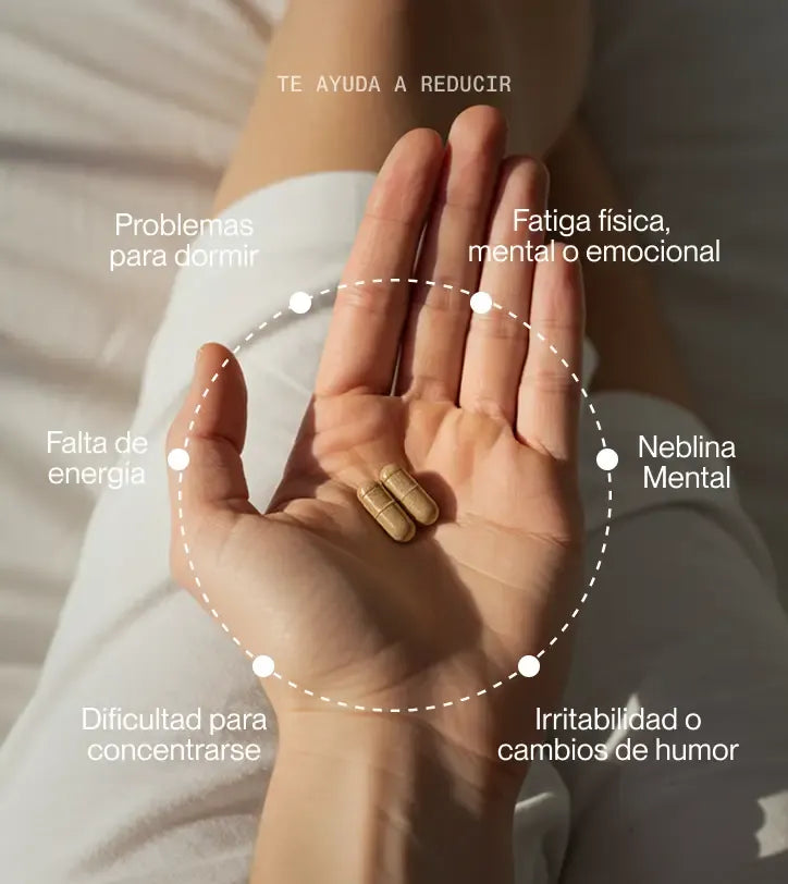 Ashwagandha 1000 mg – Equilibra tu mente, calma tu cuerpo