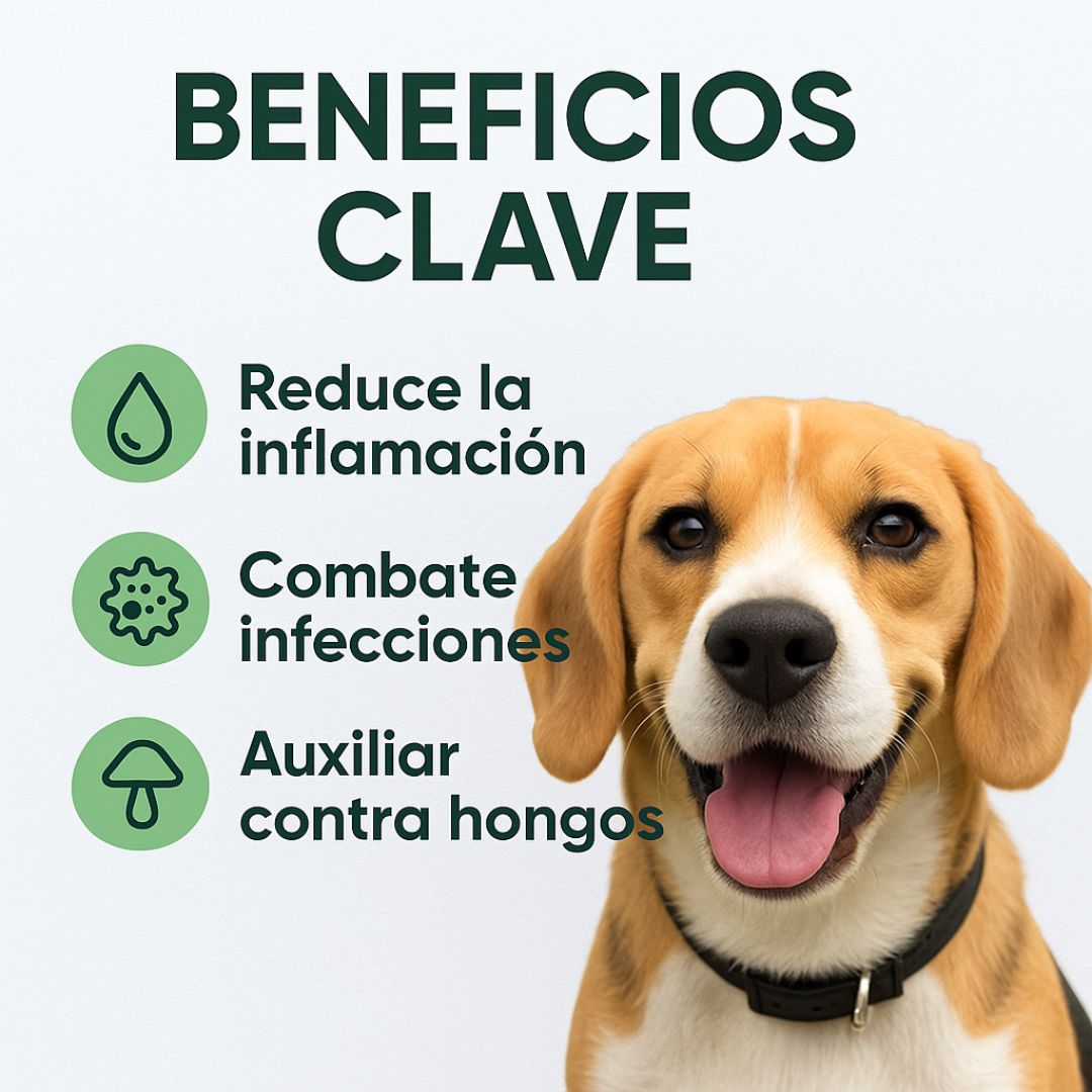 OIMMAL - SUPLEMENTO 100% NATURAL PARA TU MASCOTA