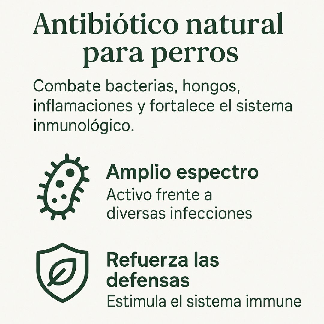 OIMMAL - SUPLEMENTO 100% NATURAL PARA TU MASCOTA